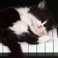 Вера Соколова