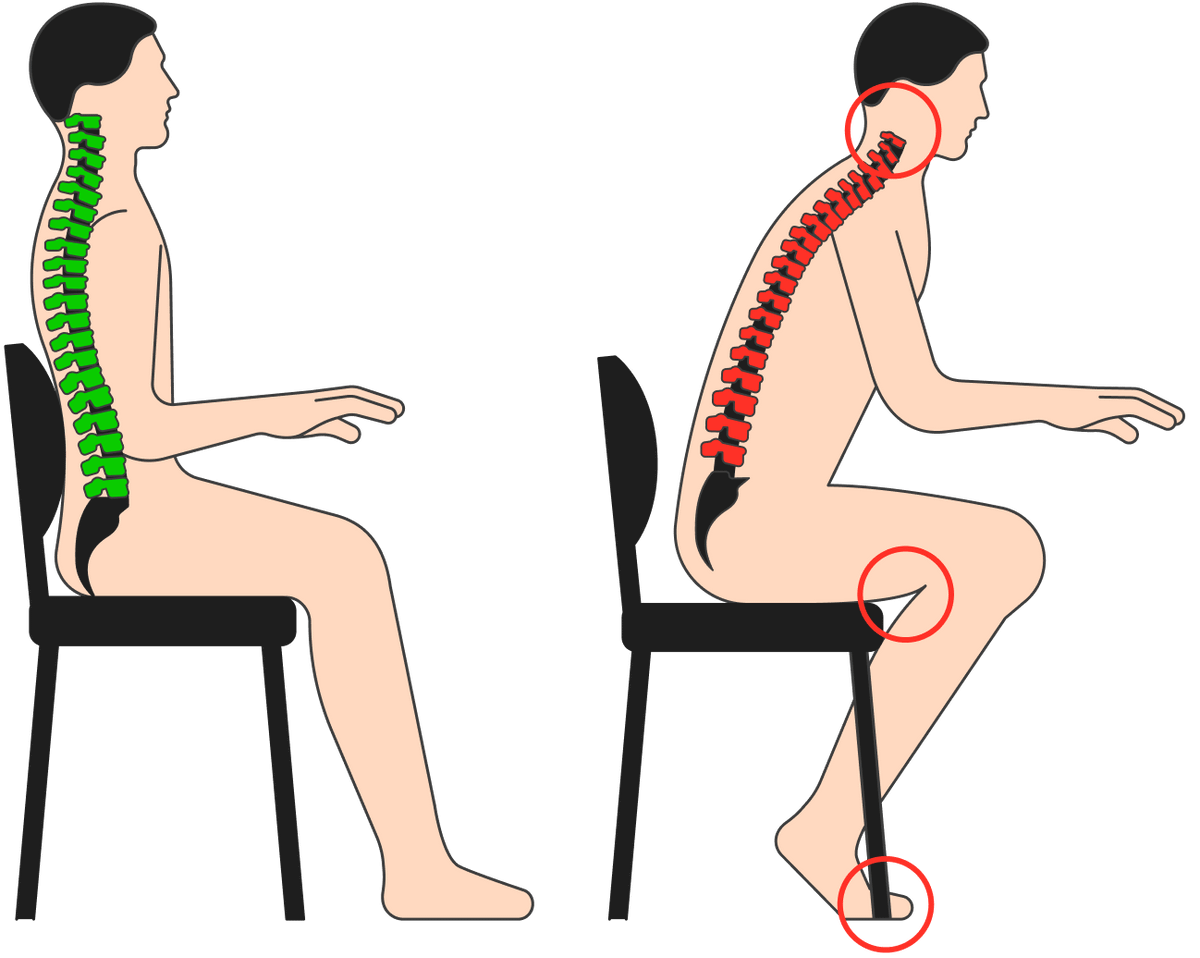 При&nbsp;правильной позе сохраняются все изгибы позвоночника. Напряжение в&nbsp;мышцах спины есть, оно распределяется вдоль всей спины и&nbsp;шеи. Когда мы сутулимся, грудной и&nbsp;поясничный изгибы сглаживаются, а&nbsp;шейный изгиб становится избыточным. При&nbsp;этом мышцы спины перенапрягаются и&nbsp;к&nbsp;концу дня будут болеть, а&nbsp;мышцы пресса расслабляются