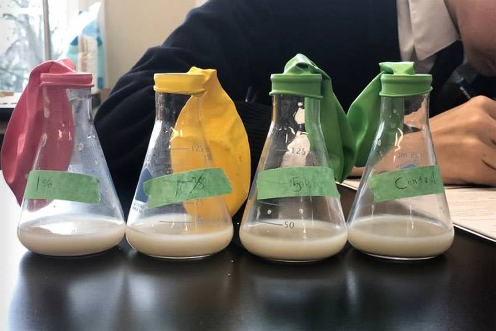 Химический эксперимент: надуть шарик содой и уксусом