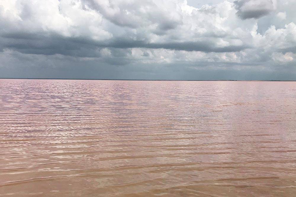 Розовое озеро особенно красиво в лучах солнца