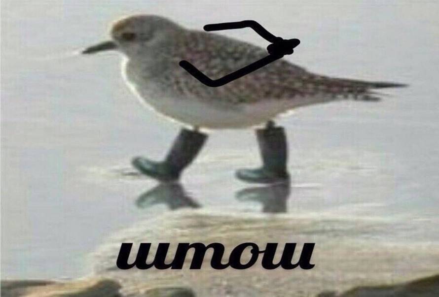 Изображение пользователя 