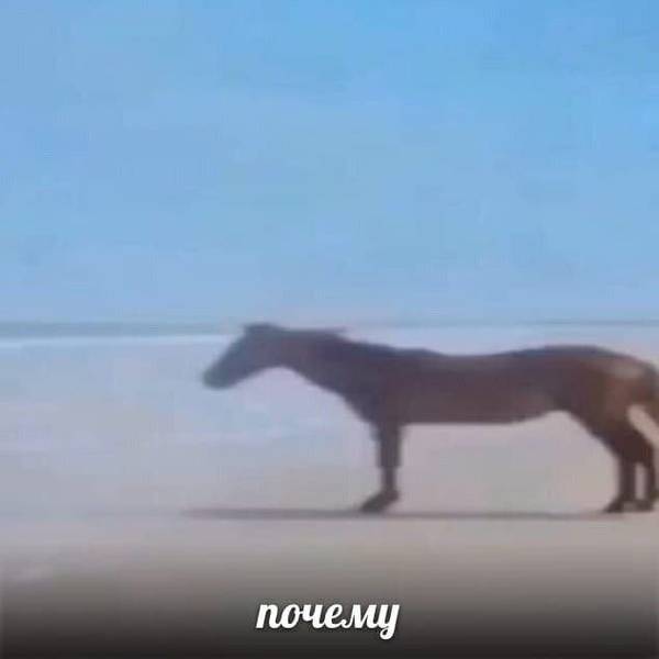 усталая обреченность