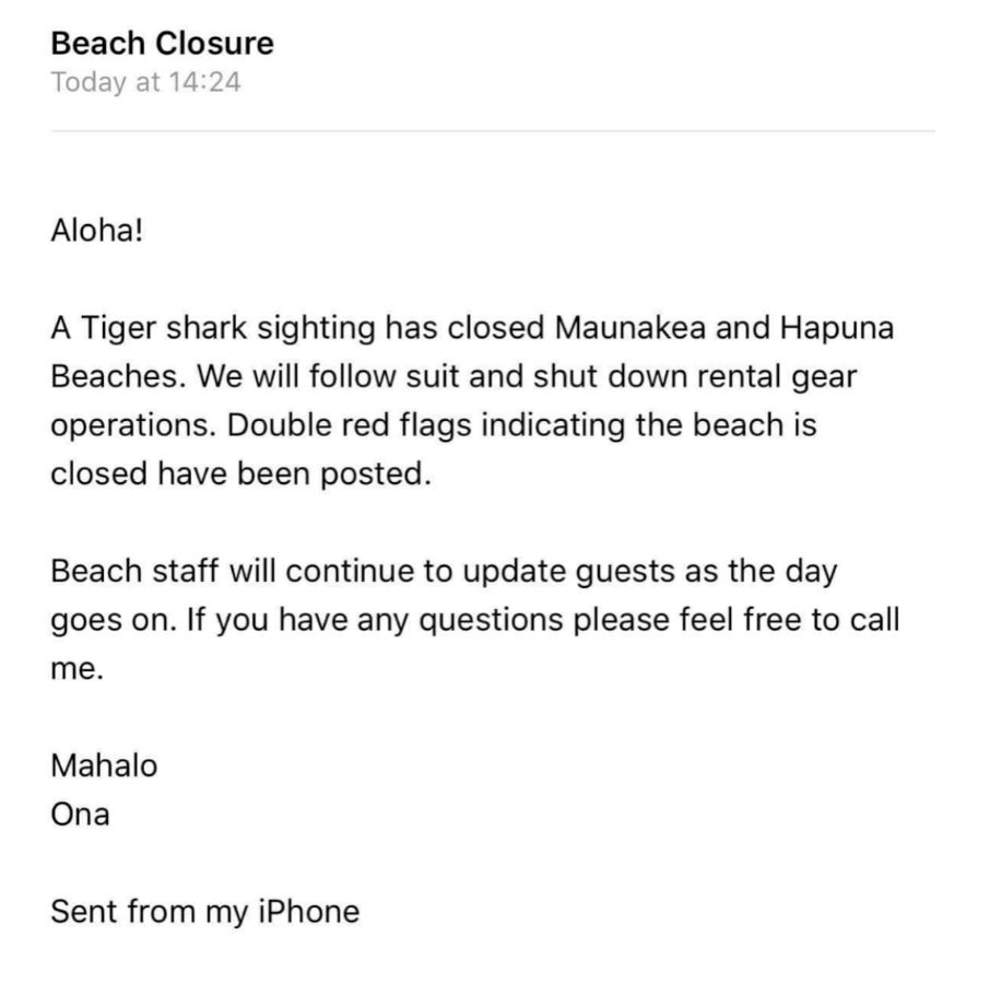 Такое письмо прислала хозяйка дома. В&nbsp;нем говорится о&nbsp;том, что у&nbsp;двух пляжей Большого острова заметили тигровую акулу. Поэтому оба пляжа закрыты и помечены двойным красным флагом