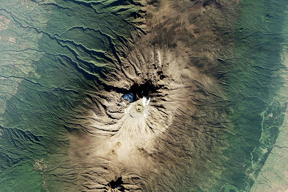 На снимке со спутника видно, как меняются природные зоны на пути к&nbsp;вершине Килиманджаро: от&nbsp;сухой саванны через земледельческие районы к&nbsp;густым тропическим лесам и&nbsp;пустынной зоне тундр и&nbsp;ледников. Источник фото: NASA Earth Observatory