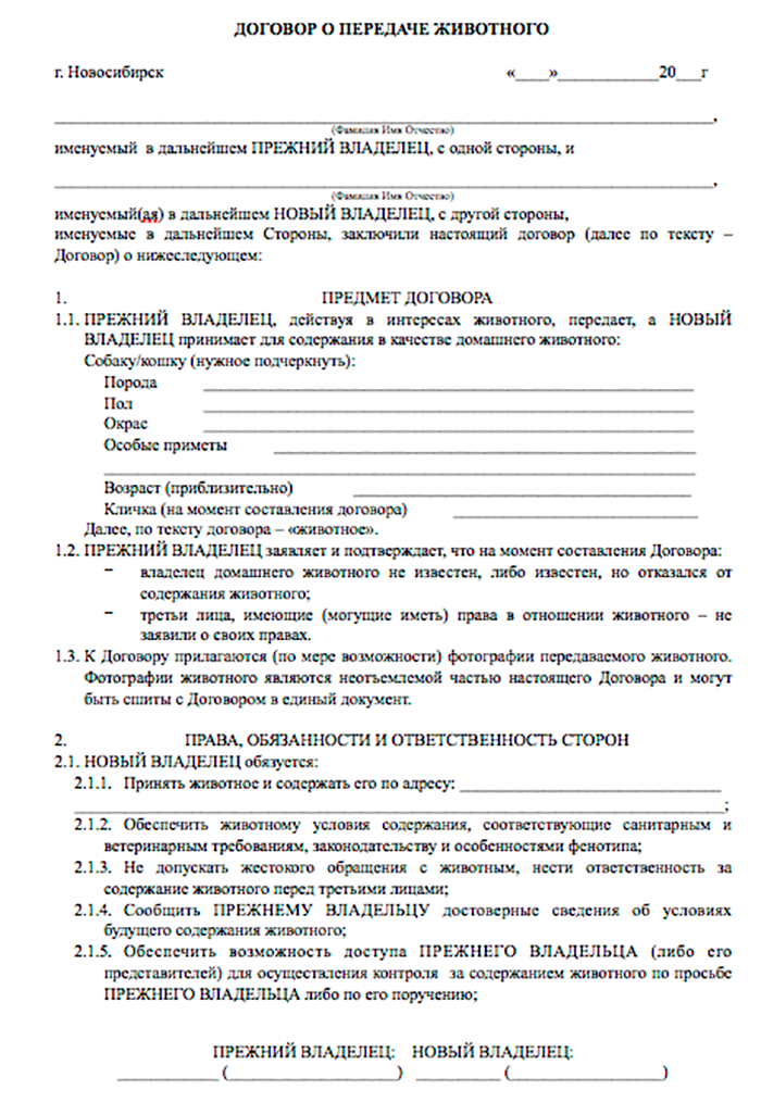 Породы и характер собак как выбрать собаку