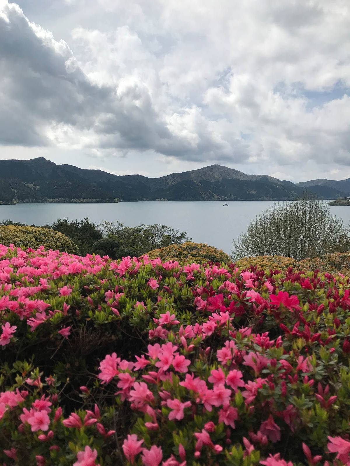 Весной и летом в Японии постоянно что-то цветет и помимо сакуры. Это озеро Аши на горном курорте Хаконе