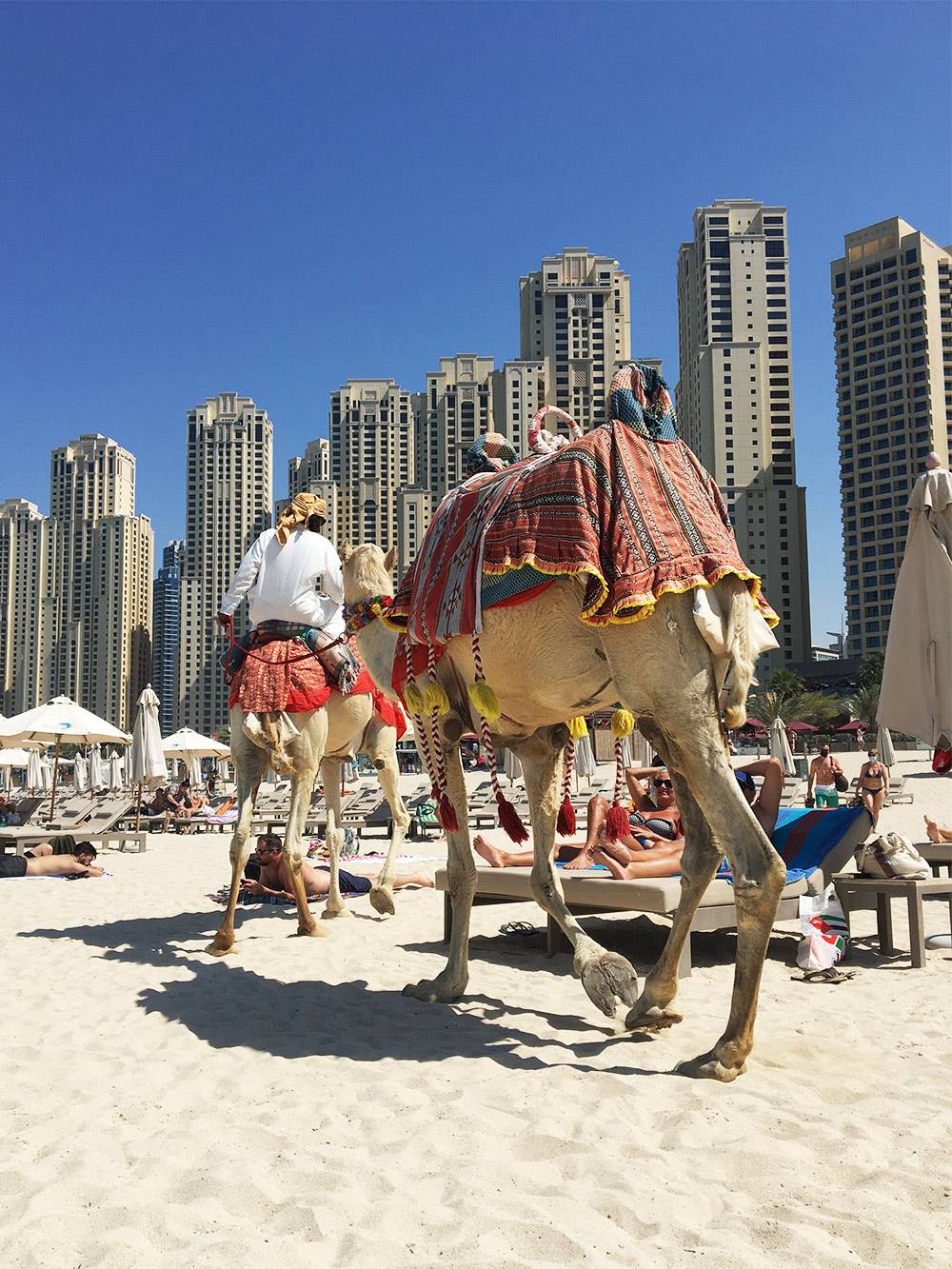 Дубай — город контрастов