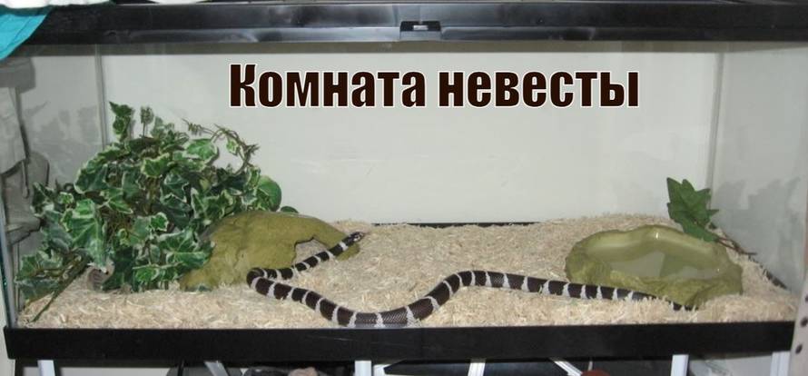 Изображение пользователя Creep