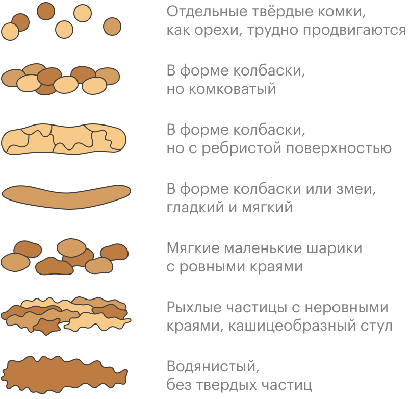 Кал шариками. Консистенция кала. Твёрдый кал причины у взрослого.