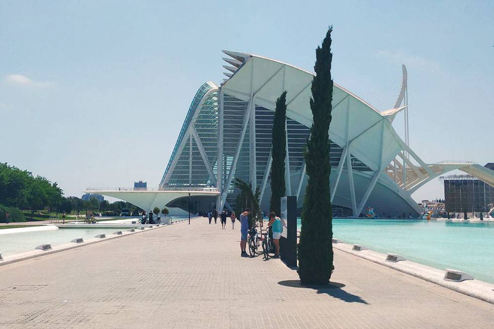 Архитектор Города наук и искусств, Сантьяго Калатрава, родился в Валенсии и сейчас строит футуристические здания по всему миру