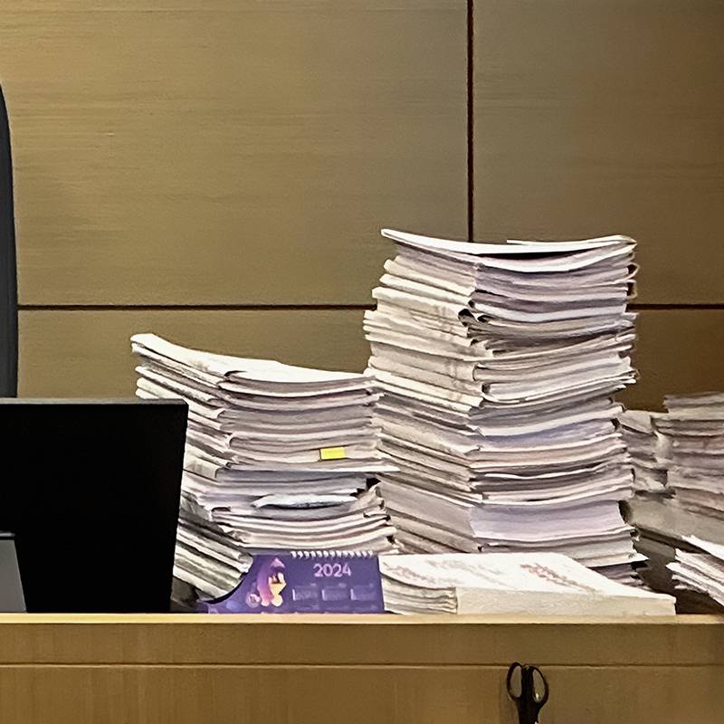 Стол судьи&nbsp;— все эти дела она должна рассмотреть за&nbsp;день