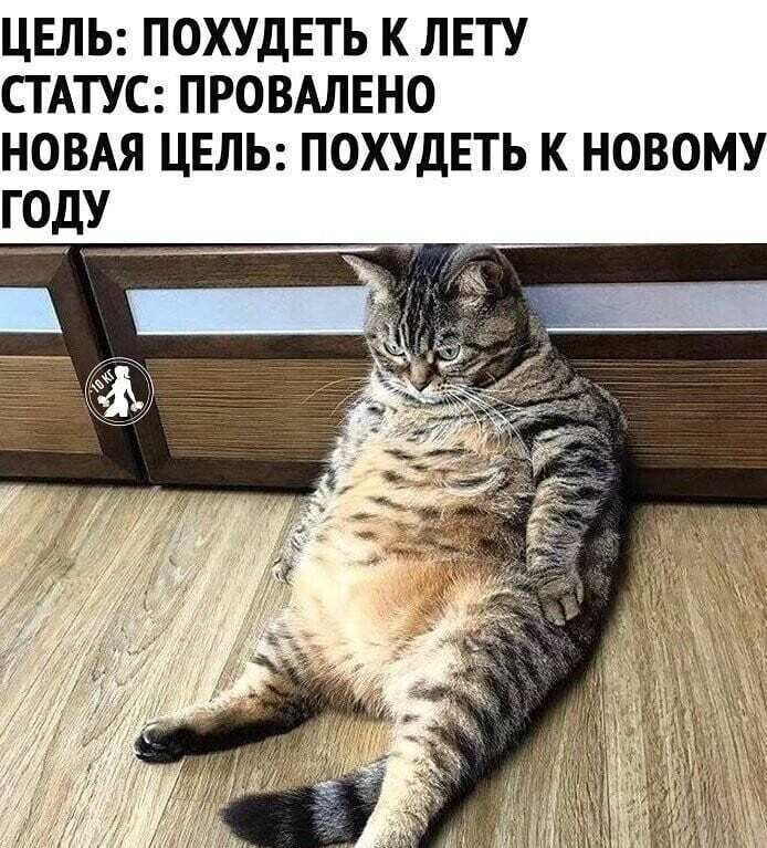 Изображение пользователя тьфунатебя ¯\_(ツ)_/¯