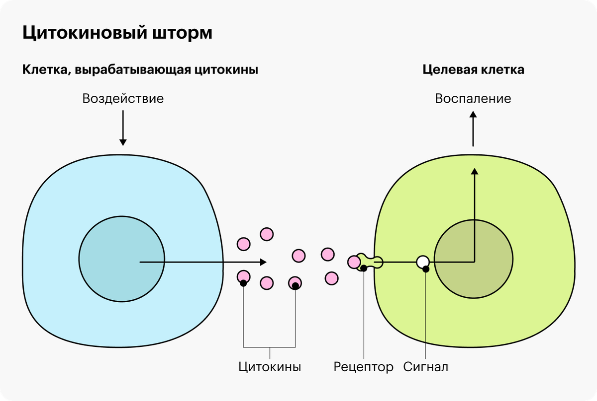 Цитокиновый шторм картинки