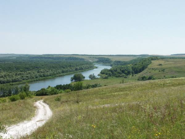 Константин Олейник