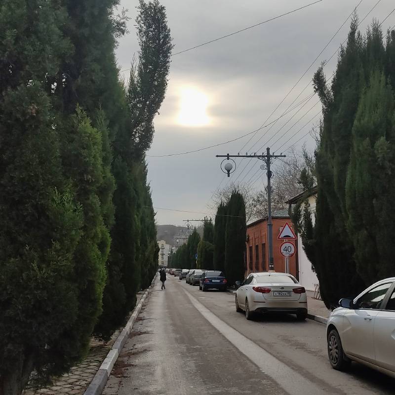 Сегодня +17&nbsp;°C — почти весна