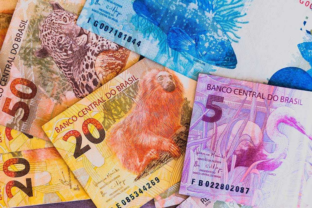 На деньгах в Бразилии нарисованы местные животные, которые находятся под&nbsp;угрозой исчезновения. Чем&nbsp;выше номинальная стоимость, тем больше банкнота по размеру. В&nbsp;этом плане бразильские деньги похожи на&nbsp;евро и&nbsp;фунты стерлингов. Источник: rafapress / Shutterstock