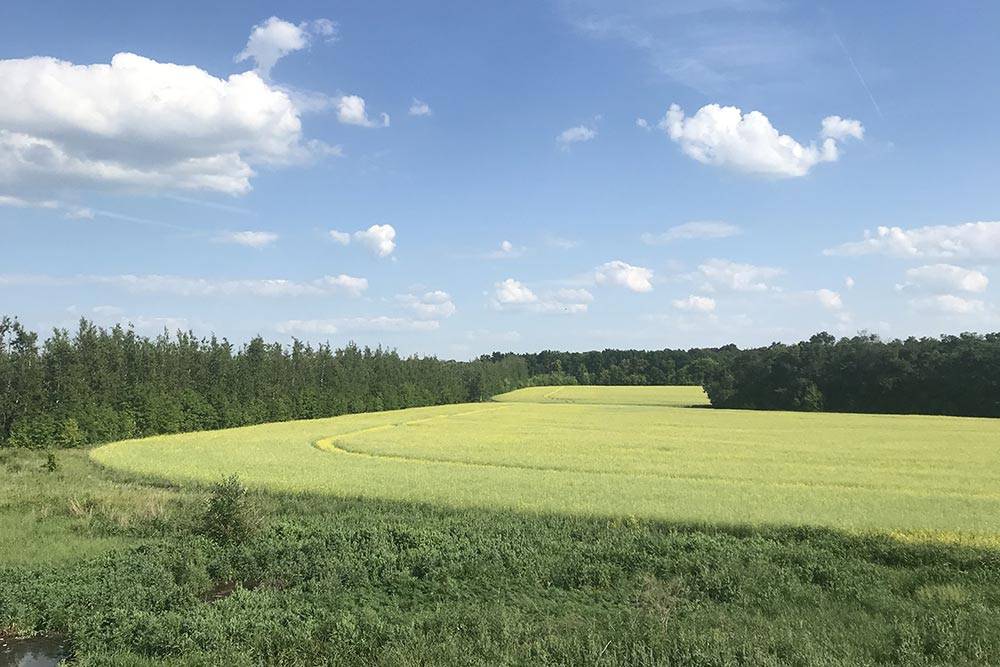 Уже в 150 км от Москвы природа завораживает красотой