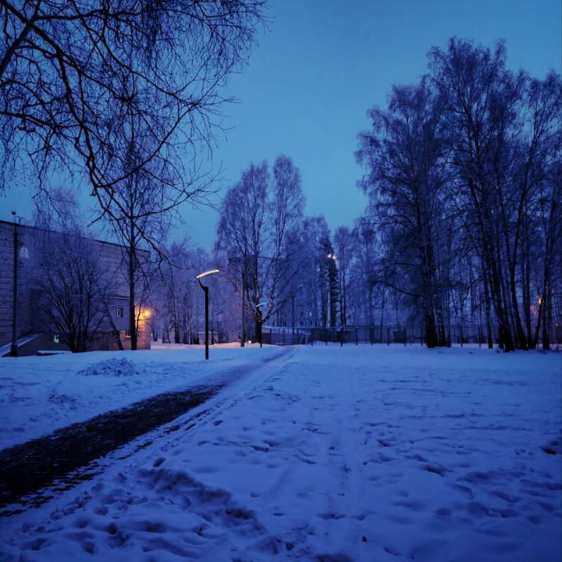 На прогулке
