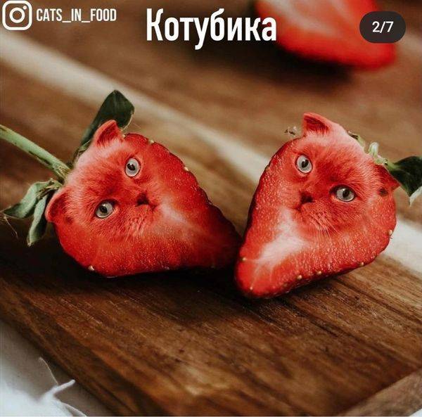 Котубика
