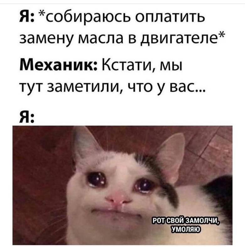 Изображение пользователя Кактус Интроверт