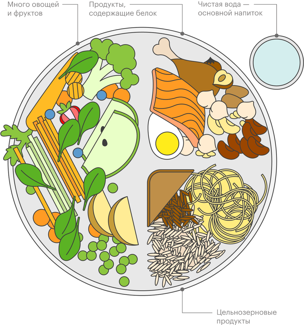 Метод здоровой тарелки. Тарелка здорового питания. Принцип здоровой тарелки. Тарелка правильного питания рисунок. Правило здоровой тарелки.