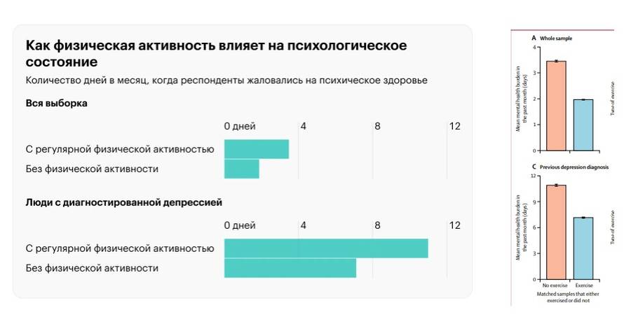 7 причин, почему спорт полезен для мозга: основные выгоды и эффекты