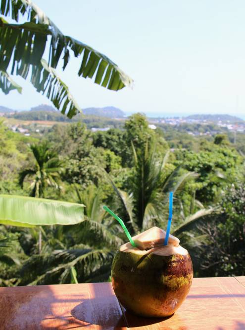 В центре острова много мест, где можно сидеть посреди джунглей с кокосом и ни о чем не думать