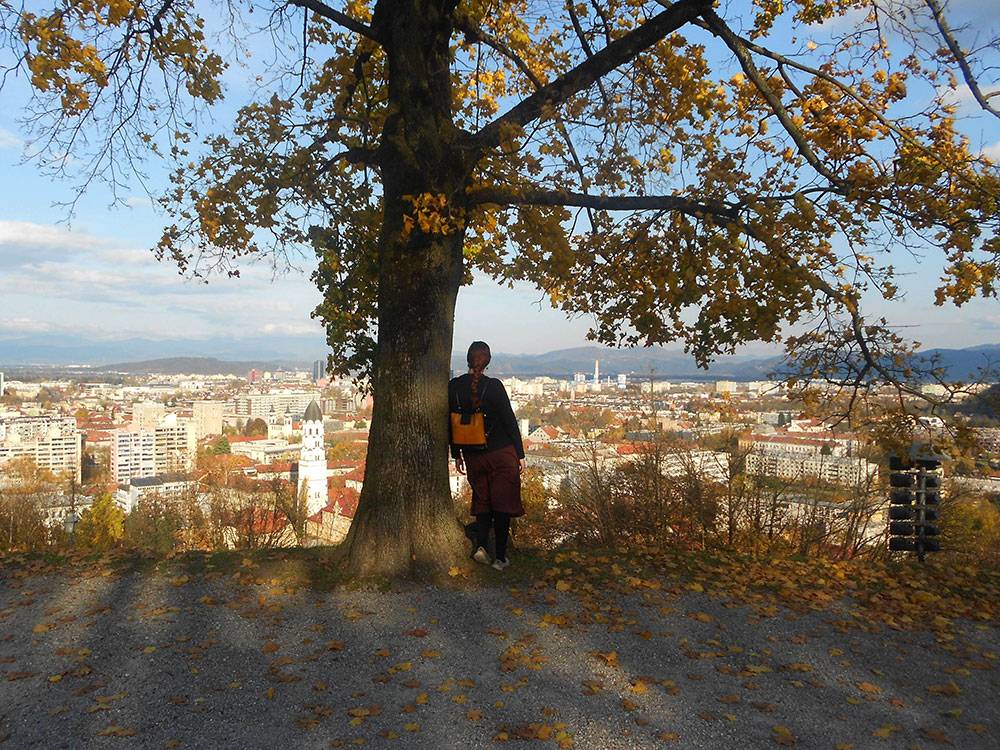 Вид на Любляну с холма, где стоит Люблянский Град