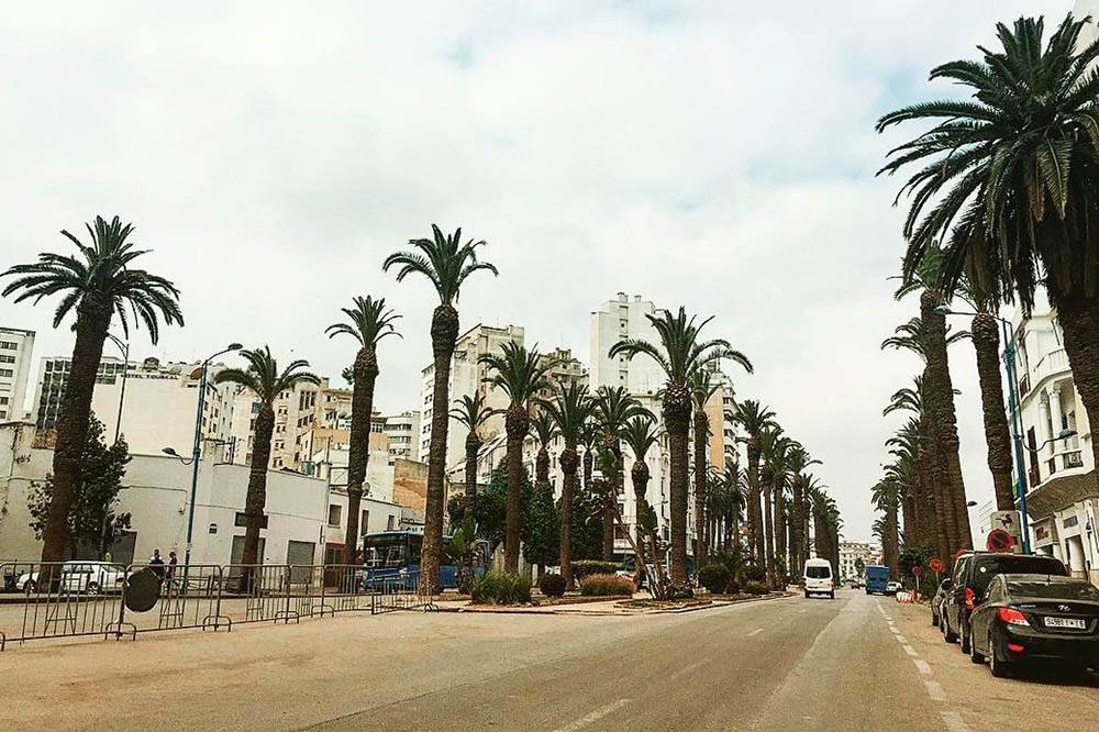 Мы прилетали в Касабланку, поэтому пришлось посмотреть и ее. Касабланка — деловой центр Марокко: здания 9 века соседствуют со стеклянными бизнес-центрами. В целом в городе грязно, много машин и людей