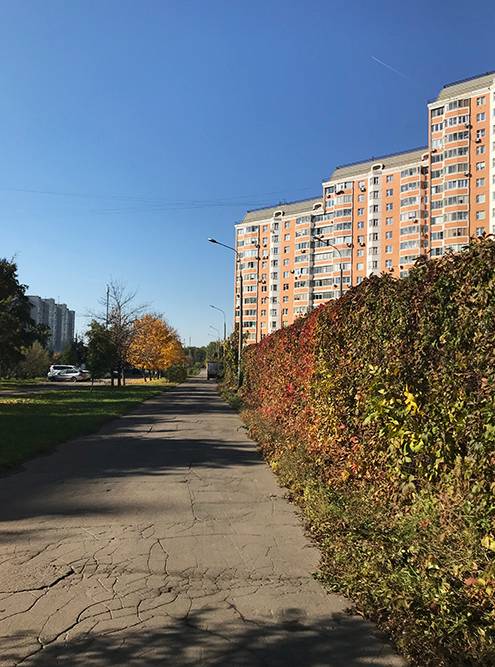 Дома на Саранской улице