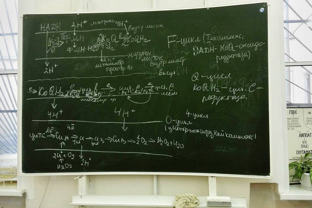 На доске написали 5 натуральных. Что написать на доске. 12 Февраля написание на доске. Картина где доска написаны примеры. На доске написано дано.