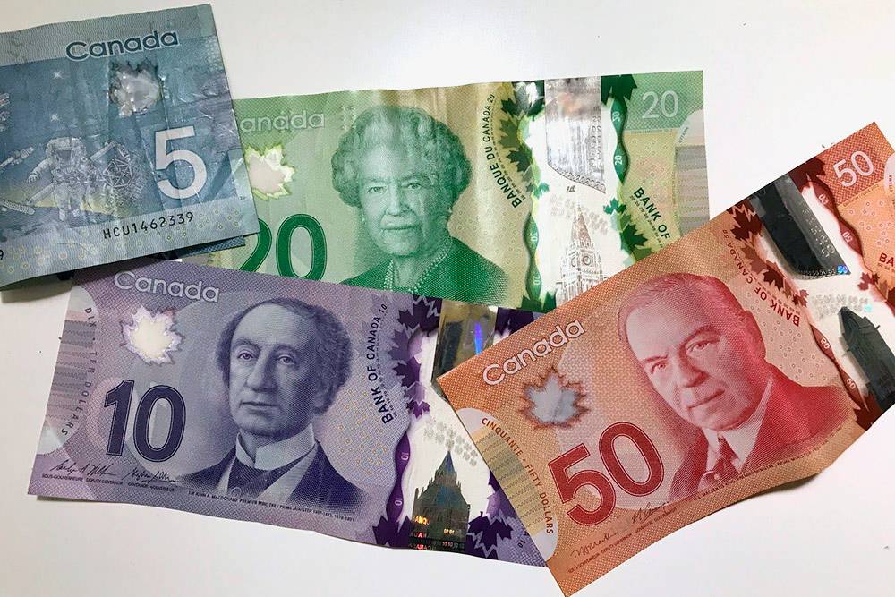 Канадские доллары пластиковые, их не получится порвать и можно даже стирать