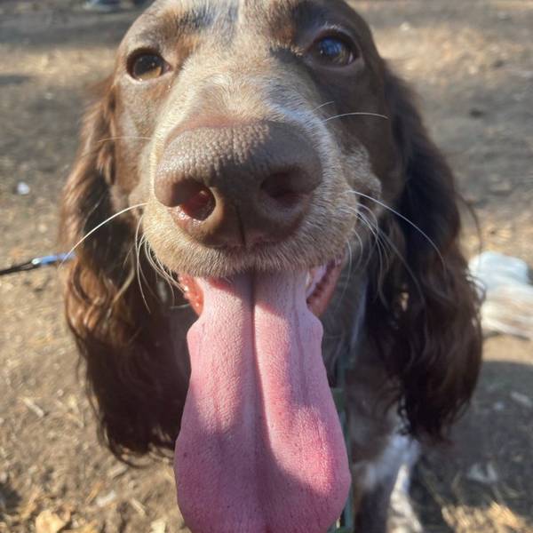 Ирина Варанкина