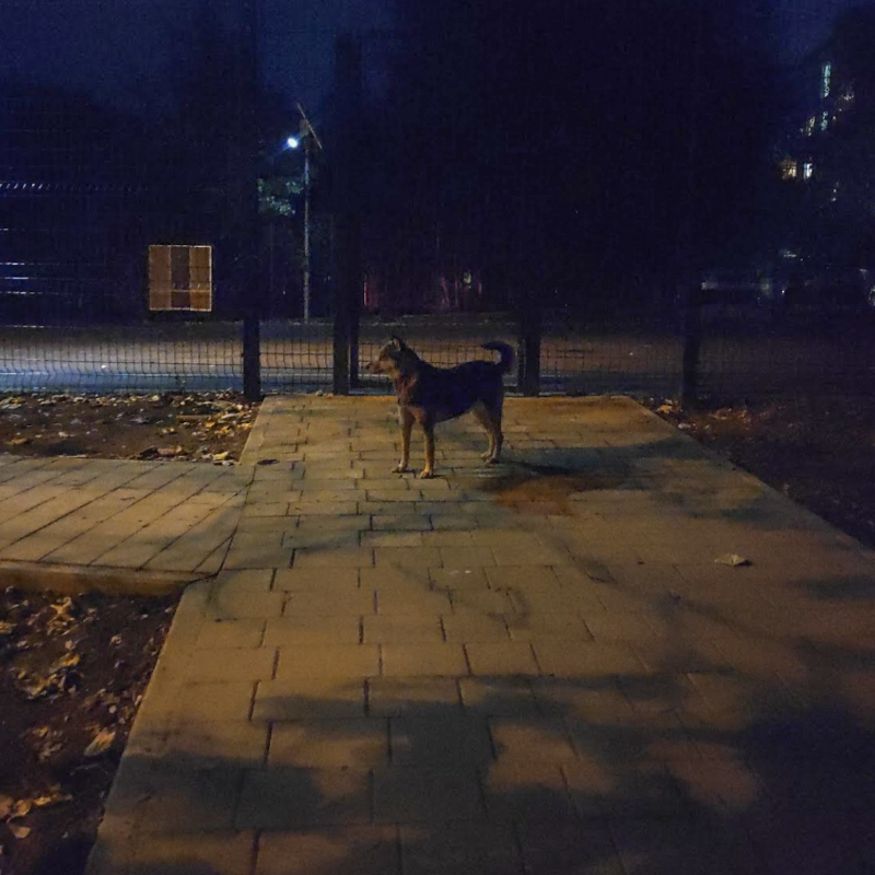 На прогулке