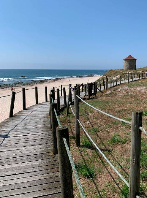 Деревянные настилы вдоль пляжей помогают сохранить песчаные дюны