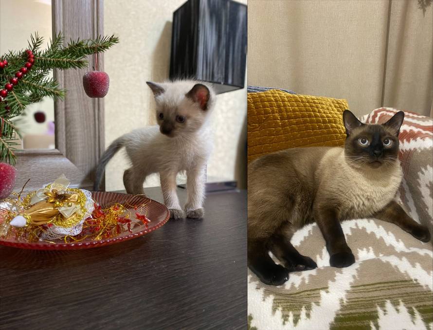 Изображение пользователя A