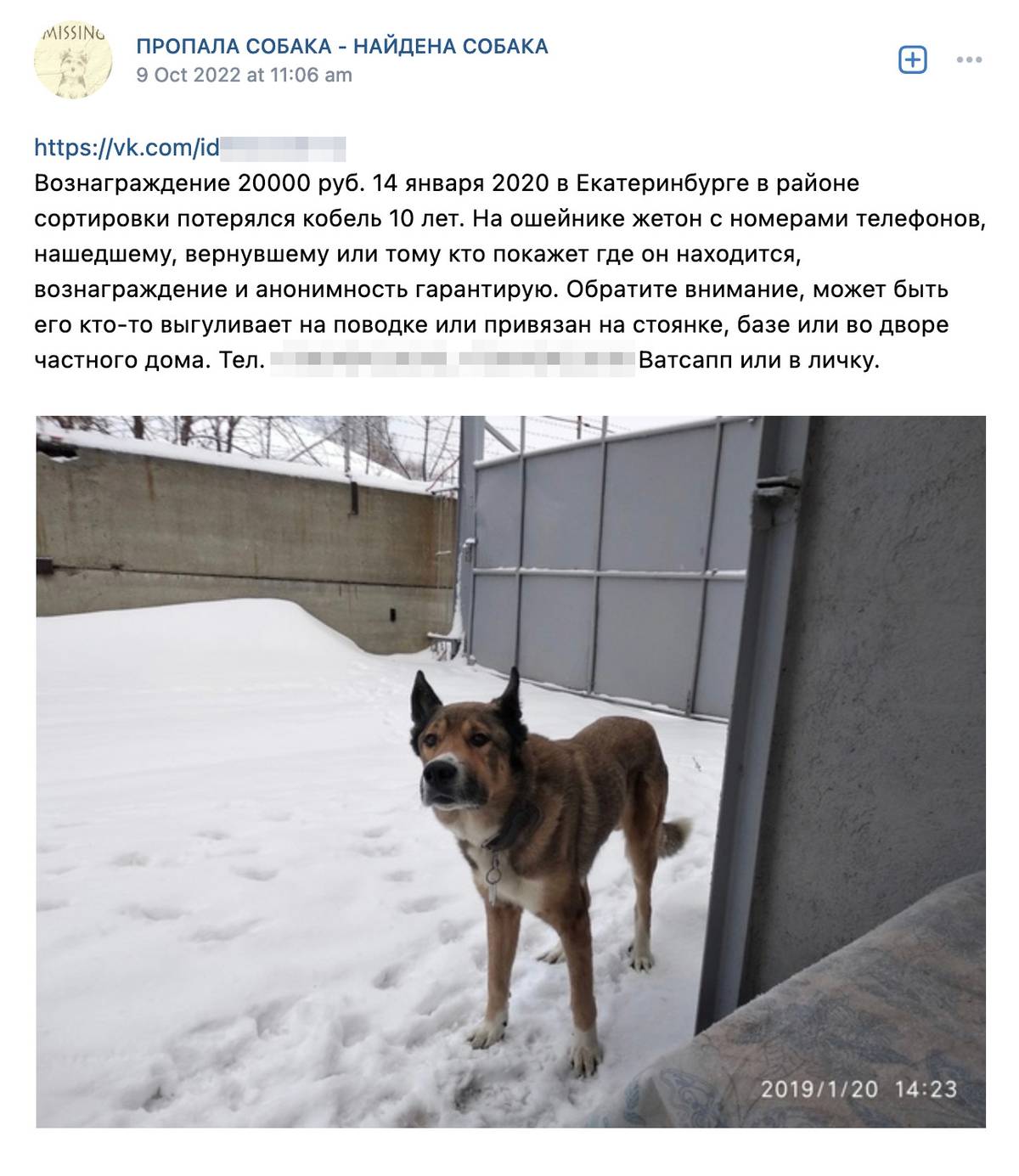 Собаку ищут давно и сразу предлагают существенное вознаграждение в 20 000 <span class=ruble>Р</span>. Источник: сообщество «Пропала собака — найдена собака» во «Вконтакте»