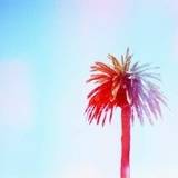 Илья Ялунин