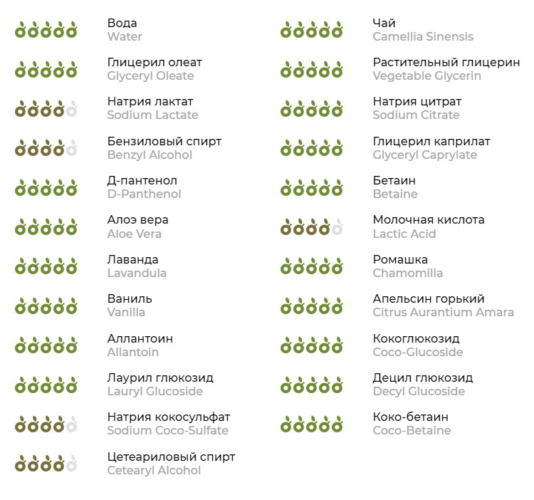 Список ингредиентов. Источник: ecogolik.ru