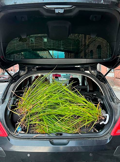 В мою машину помещается 30 растений или несколько мешков керамзита и грунта