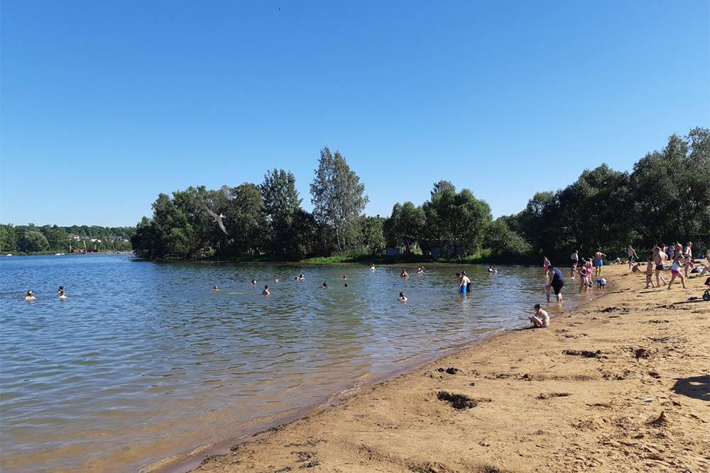 Красносельский район Санкт-Петербурга: каково там жить