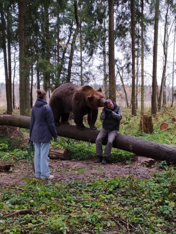 Изображение к комментарию пользователя Юлиана Эрзерумцева