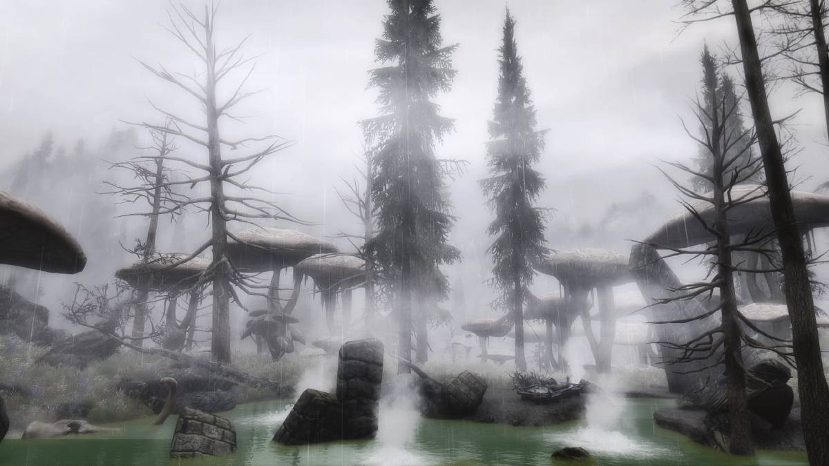 С модами Скайрим становится намного разнообразнее. Источник: Bethesda Softworks