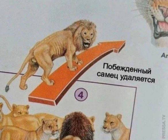 Изображение пользователя Мушу