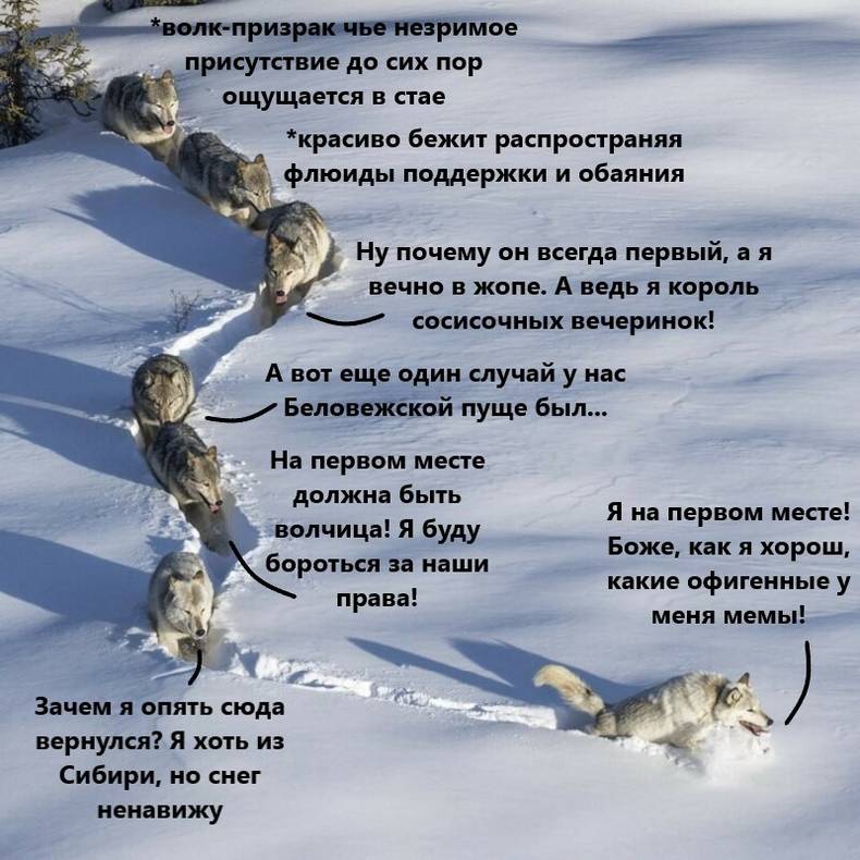 Изображение пользователя Филиппыч