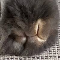 Дина Михеева