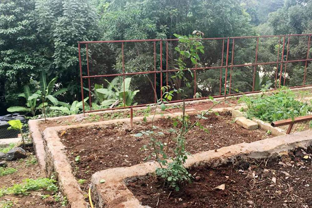Многих типичных для&nbsp;нас продуктов в&nbsp;Танзании не&nbsp;найти. Например, томатов черри, черешни, укропа и&nbsp;петрушки. Поэтому на&nbsp;задворках отеля мы&nbsp;организовали свой сад-огород, где&nbsp;растили зелень и&nbsp;помидоры с&nbsp;огурцами