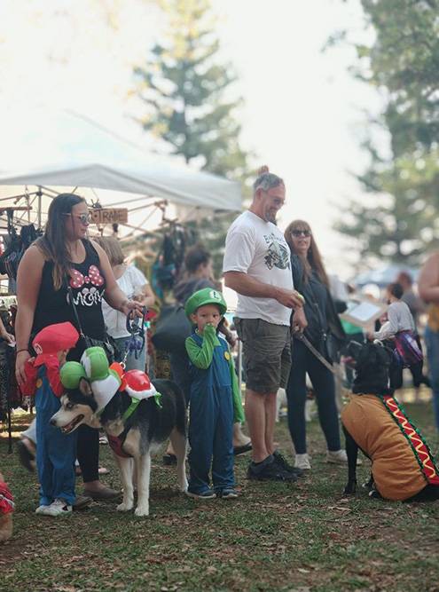 В одном из парков Сакраменто проходил маскарад для собак. Главный приз — огромная корзина сладостей и игрушек для псов