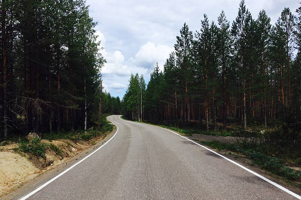 Финские дороги отличного качества, а по обеим сторонам — сосновый лес, озера и болота