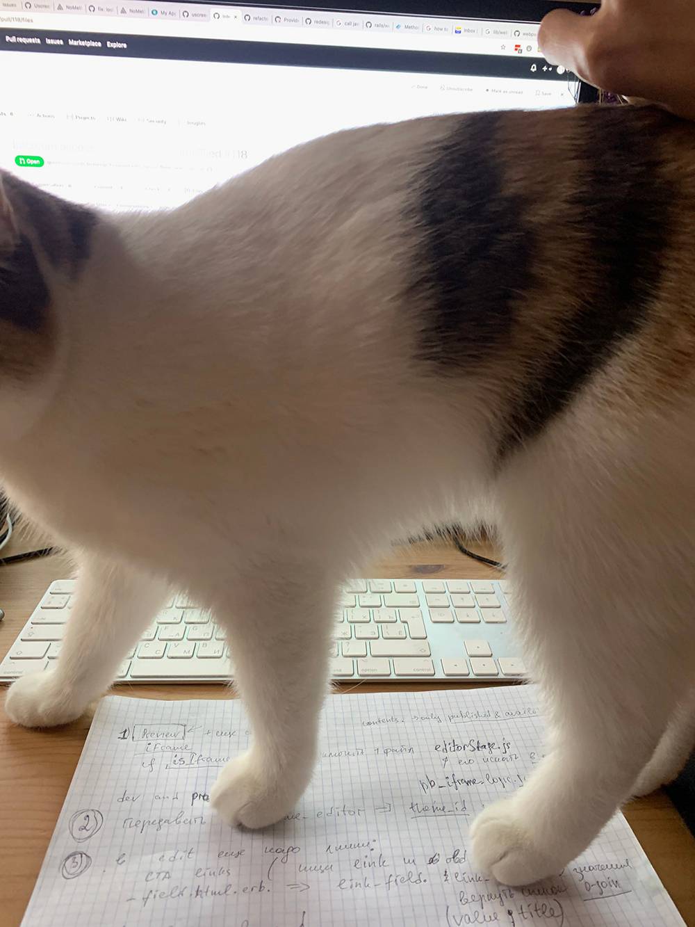 Мы называем это программированием сквозь кота